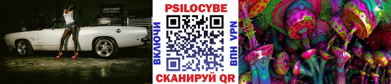 Купить где  Андреаполь  Псилоцибиновые грибы MAGIC MUSHROOMS 